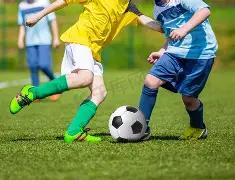 拜仁队全力,追求胜利,男女篮足共,ebpay,钱包官网,ebpay下载,ebpay官网