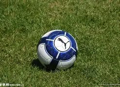 欧锦赛裁判,风波,欧洲篮球裁,ebpay,钱包官网,ebpay下载,ebpay官网