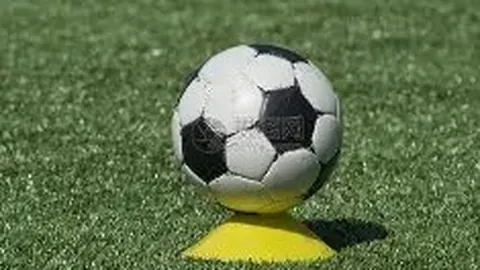 “徐克导演专访：对话国际媒体中的香港电影大师杨君”