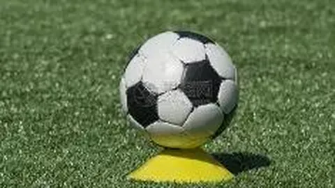 斯卡洛尼谈中卫短缺：暂未关注世界杯事宜