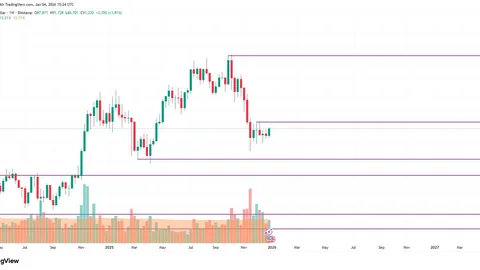 汪涵旧照公开，昔日校园风度翩翩